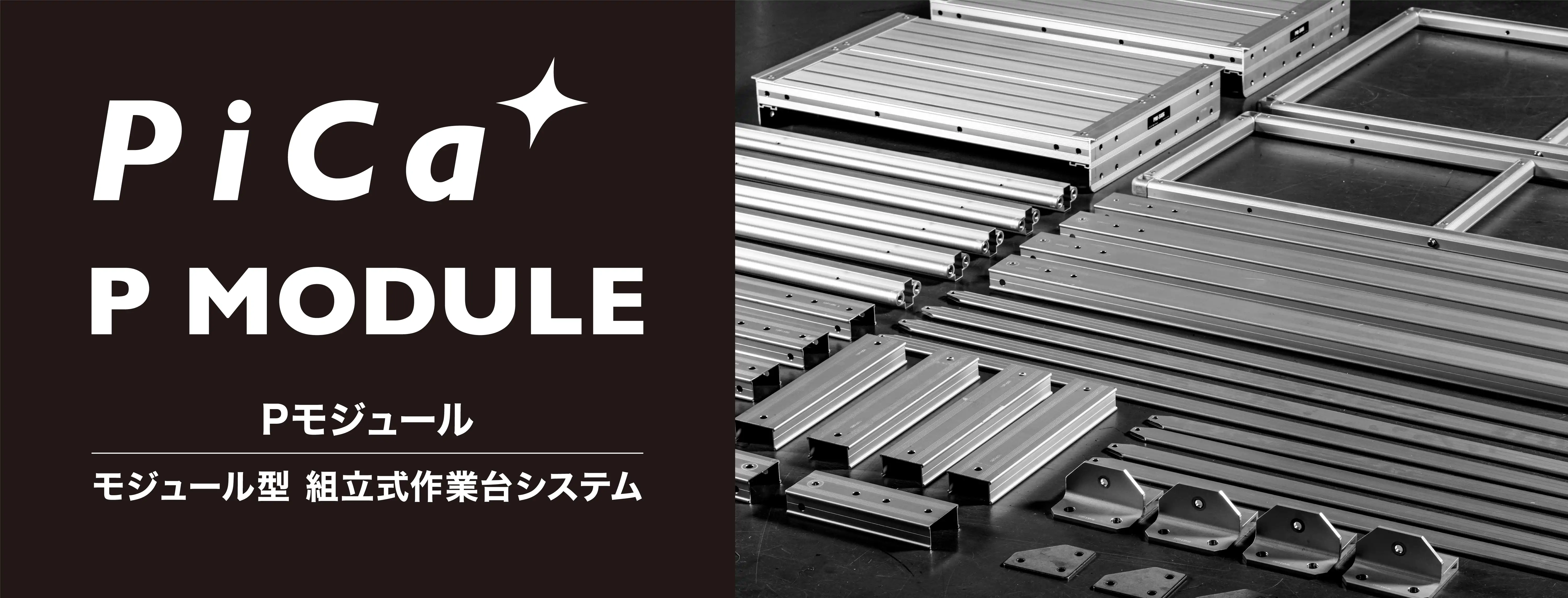Pica P MODULE　Pモジュール